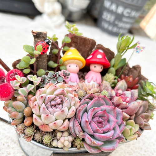 送料無料】再販♡ 可愛い ひょっこり♪きのこ姉妹♡多肉植物寄せ植え 