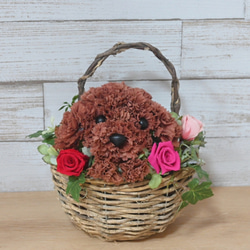 フラワーペット【トイプードル・壁掛けバスケット】 2way プリザーブドフラワー 犬 花  ペット 誕生日 9枚目の画像