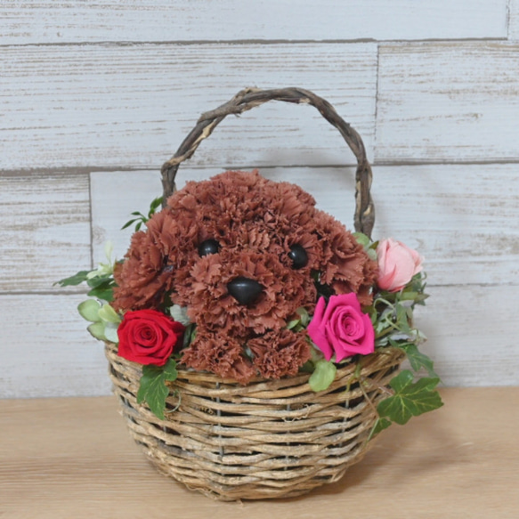 フラワーペット【トイプードル・壁掛けバスケット】 2way プリザーブドフラワー 犬 花  ペット 誕生日 9枚目の画像