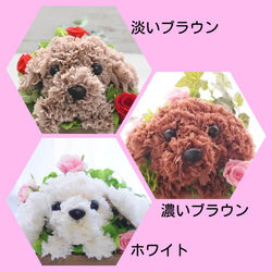 フラワーペット【トイプードル・壁掛けバスケット】 2way プリザーブドフラワー 犬 花  ペット 誕生日 3枚目の画像