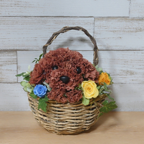 フラワーペット【トイプードル・壁掛けバスケット】 2way プリザーブドフラワー 犬 花  ペット 誕生日 5枚目の画像