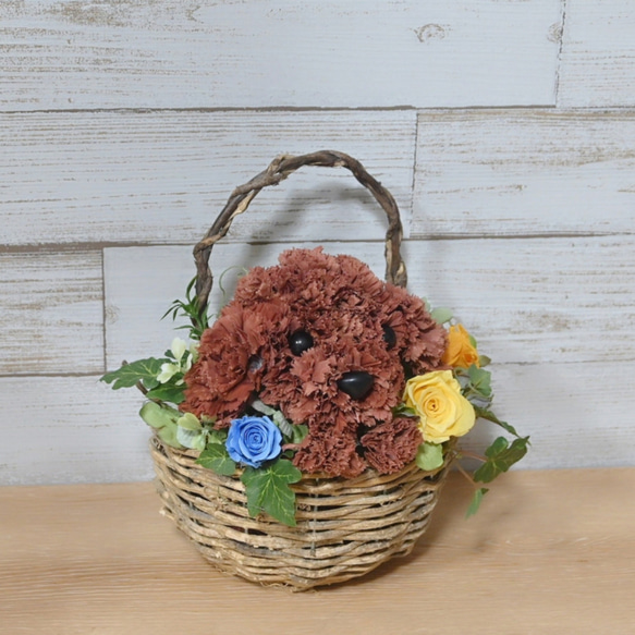 フラワーペット【トイプードル・壁掛けバスケット】 2way プリザーブドフラワー 犬 花  ペット 誕生日 8枚目の画像