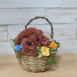 フラワーペット【トイプードル・壁掛けバスケット】 2way プリザーブドフラワー 犬 花  ペット 誕生日 11枚目の画像