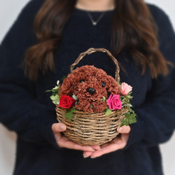 フラワーペット【トイプードル・壁掛けバスケット】 2way プリザーブドフラワー 犬 花  ペット 誕生日 10枚目の画像