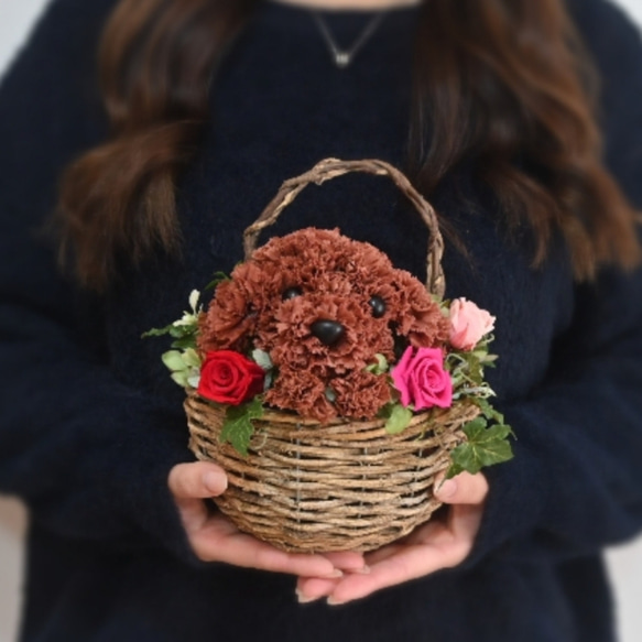 フラワーペット【トイプードル・壁掛けバスケット】 2way プリザーブドフラワー 犬 花  ペット 誕生日 2枚目の画像