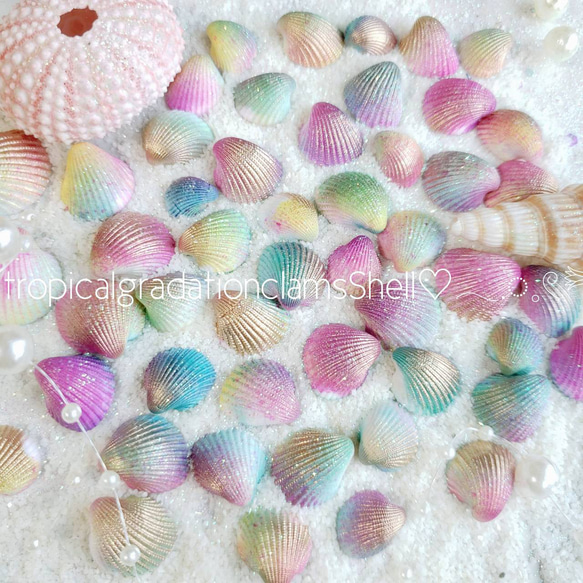 小さな二枚貝 ❁︎ 30個 アレンジ加工 海  貝殻 ハンドメイド カラフル 1枚目の画像