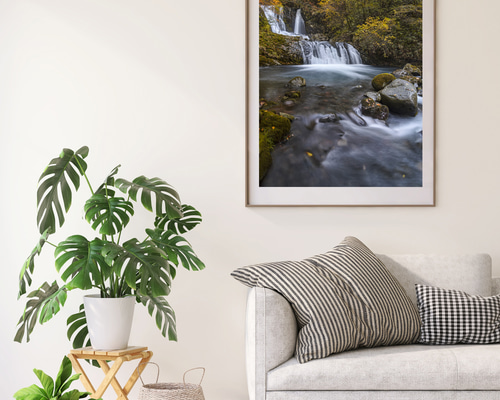 紅葉の油木美林 こもれびの滝 インテリアアートポスター IVYL-080 滝