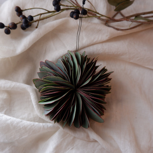 ポポラスユーカリのミルフィーユリースM ドライフラワー kusakiiro by