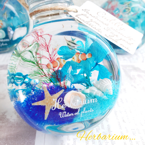 海ハーバリウム 熱帯魚 ハーバリウム❁︎ ハーバリウム・植物標本