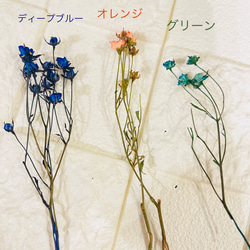 お名前入れ無料✿薔薇入りハーバリウムボールペン✿替え芯1本付き 12枚目の画像