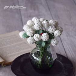 ◆粘土のお花◆ しろつめ草とテントウムシ　アメリーグラス …　S958 1枚目の画像