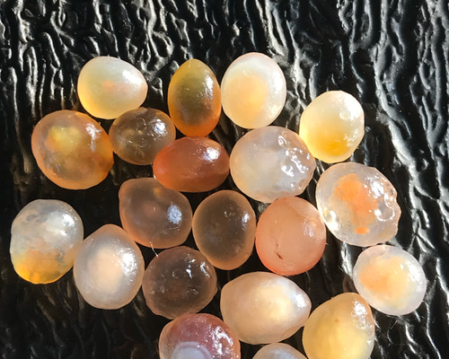 ゴビ石−1233 ゴビ瑪瑙 原石『いくら』 その他置物 KIKI 通販 17396320