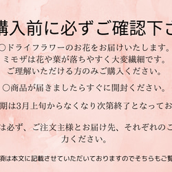 【Risa la fuente　3本セットミモザドライフラワー】植物　ドライフラワー　お花　フラワー　切花　アカシア　プ 6枚目の画像