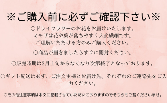 【Risa la fuente　3本セットミモザドライフラワー】植物　ドライフラワー　お花　フラワー　切花　アカシア　プ 6枚目の画像