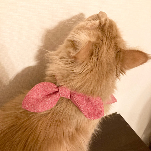 犬猫兼用セーラースタイ ペット服・アクセサリー A.1256 通販 17396753