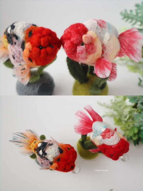 江戸錦　金魚　羊毛フェルト　アクアリウム　夏　春 10枚目の画像