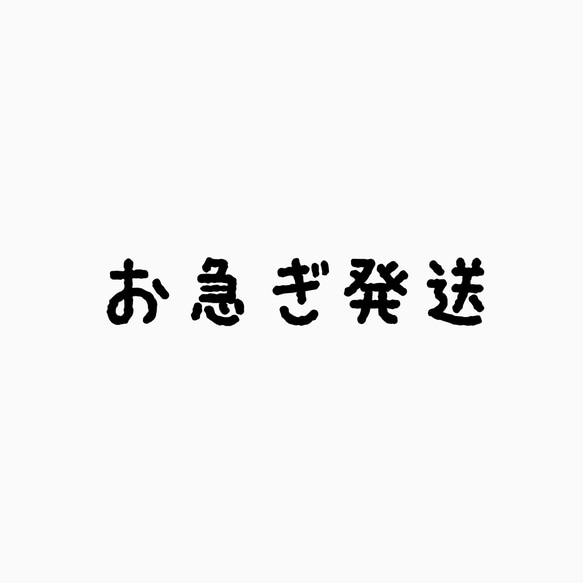 お急ぎ発送 1枚目の画像