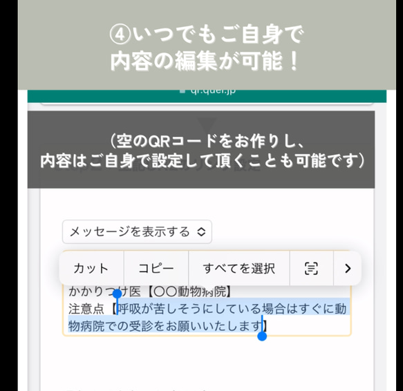 【QRコード迷子札】『うちの猫柄キーホルダー』文字入れ可 サバトラ/キジトラ/茶トラ/サビ/白黒ブチ/グレーブチ/三毛猫 6枚目の画像