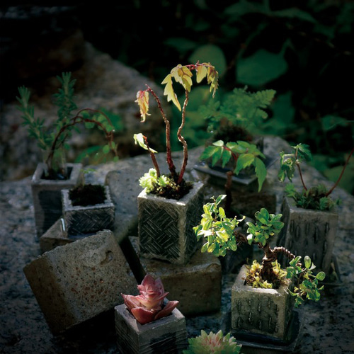 筆洗い　書　書道　中国美術　骨董品 筆洗い 書 書道 中国美術 骨董品 筆洗い 書 書道 中国美術 骨董品 （