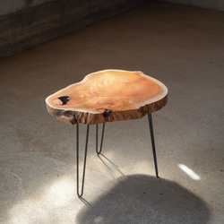 欅の輪切り 一枚板  コーヒーテーブル サイドテーブル（高さ・カラー変更無料） 5枚目の画像