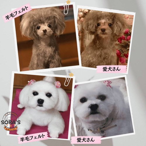 羊毛フェルト#犬 リアルで可愛い 愛犬さん オーダー制作・わん 羊毛フェルト#犬 リアルで可愛い 愛犬さん オーダー制作・わん