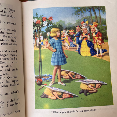 Amazon.com: Alice's Adventures In Wonderland/Through The