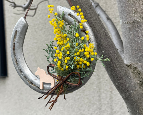 ミモザミランドールの馬蹄リース⚪︎ドライフラワーリース 1-1024x1024.jpg