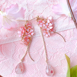 ふんわりピンクの枝垂れ桜ピアス/イヤリング 4枚目の画像