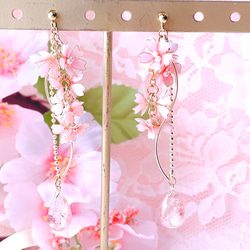 ふんわりピンクの枝垂れ桜ピアス/イヤリング 1枚目の画像