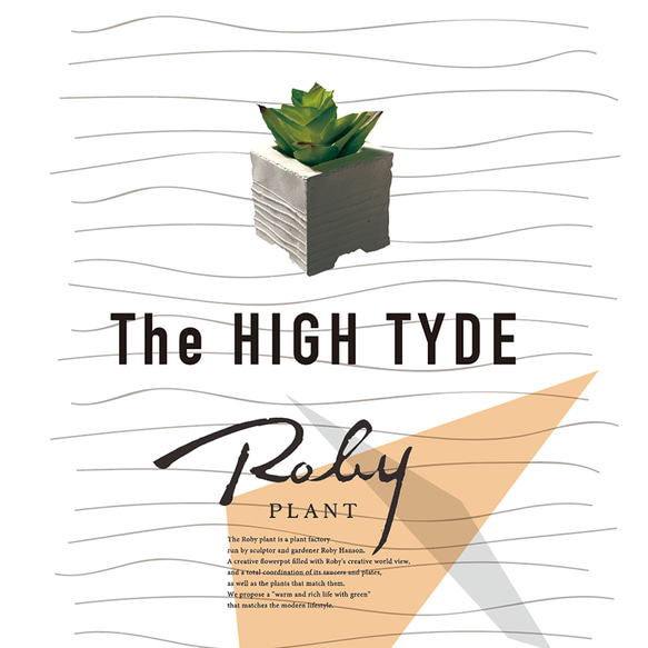 【 ミニ鉢セット｜The HIGH TIDE 】セメント仕様_盆栽やオブジェに最適｜ロビー・ハンソンのハンドクラフト 15枚目の画像