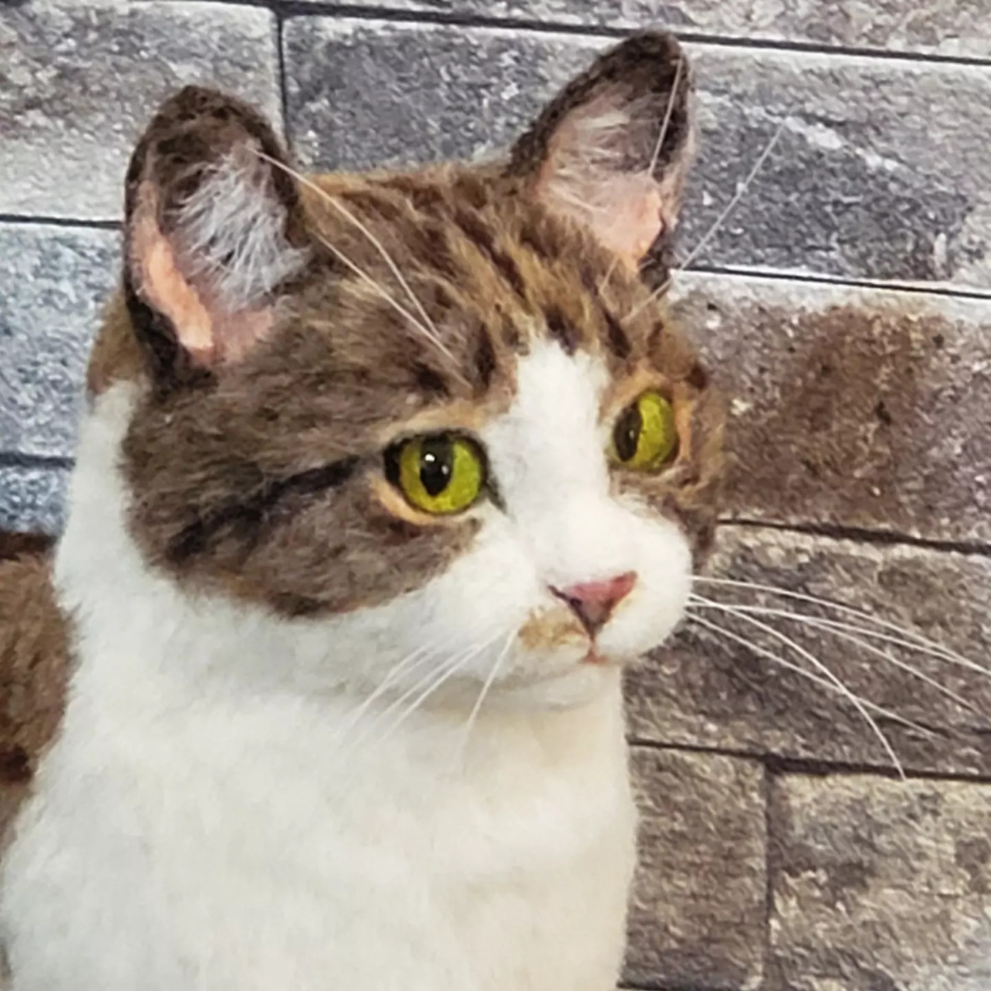 [羊毛フェルト]　うちの子　オーダーメイド　ハンドメイド　ペットロス　羊毛フェルト猫