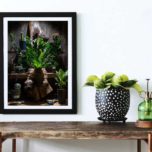 インテリアアート アスプレニウムと多肉植物 カフェ風 インテリアアートポスター IVYL