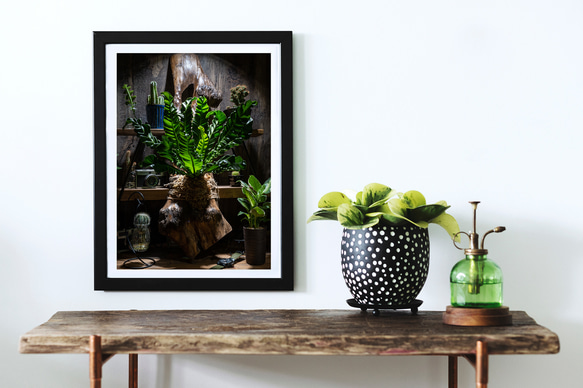 アスプレニウムと多肉植物 カフェ風 インテリアアートポスター