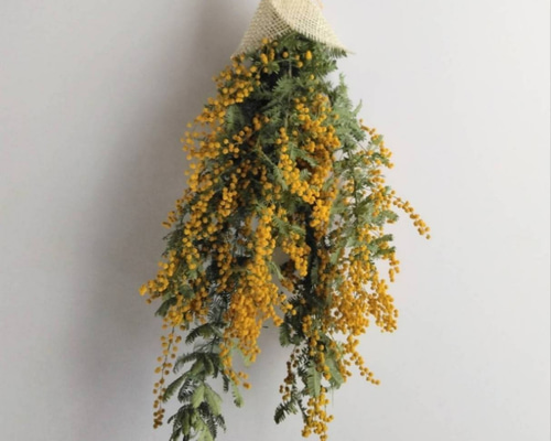 ミモザのドライフラワー(スワッグ)：大 スワッグ nyao-mery 通販
