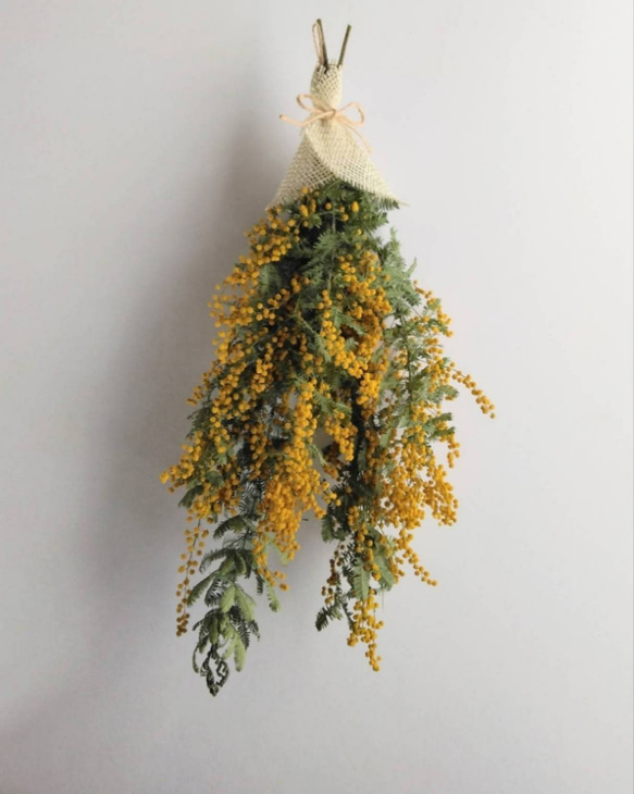 ミモザのドライフラワー(スワッグ)：大 スワッグ nyao-mery 通販