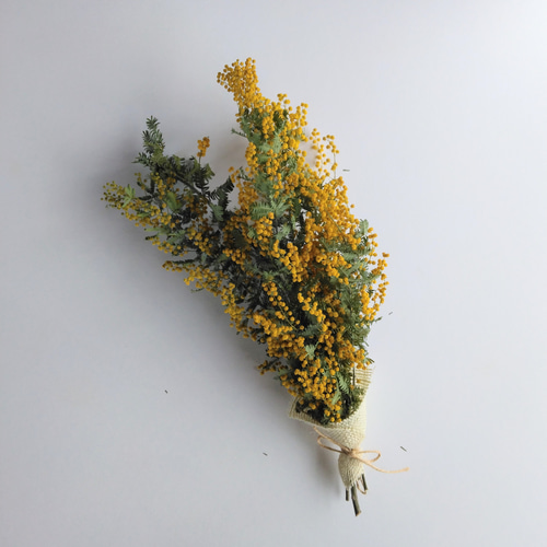 ミモザのドライフラワー(スワッグ)：大 スワッグ nyao-mery 通販