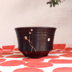 陶器の植木鉢　「和モダンな植木鉢」 受け皿付き 7枚目の画像