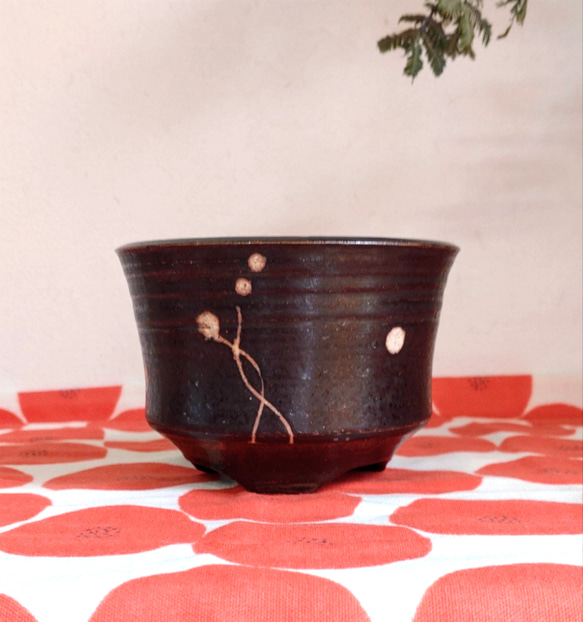 陶器の植木鉢　「和モダンな植木鉢」 受け皿付き 7枚目の画像