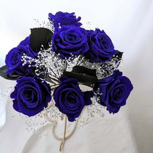 【今日の超目玉】 プリザーブドフラワー青い薔薇9輪とかすみ草の花束 プリザーブド 花束・アレンジメント