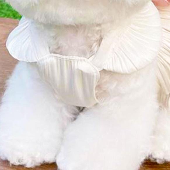 犬服 春夏用 女の子 ドレス ワンピース スカート リードフック ウエストリボン かわいい おしゃれ ch-876 7枚目の画像