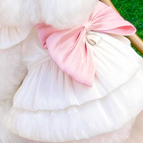 犬服 春夏用 女の子 ドレス ワンピース スカート リードフック ウエストリボン かわいい おしゃれ ch-876 2枚目の画像