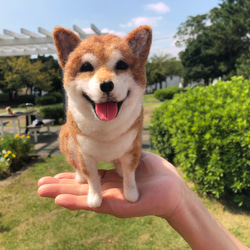 愛犬ちゃんのそっくりなリアルなペット人形をお作りします！　羊毛フェルト　犬　オーダー　ぬいぐるみ　愛犬　　ペット　リアル 2枚目の画像