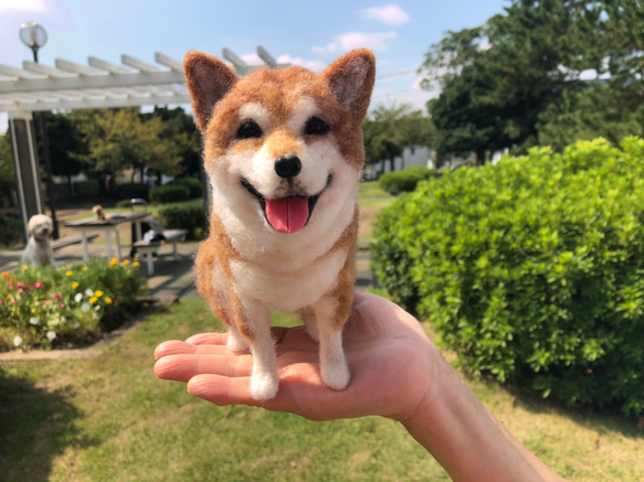 愛犬ちゃんのそっくりなリアルなペット人形をお作りします！　羊毛フェルト　犬　オーダー　ぬいぐるみ　愛犬　　ペット　リアル 2枚目の画像