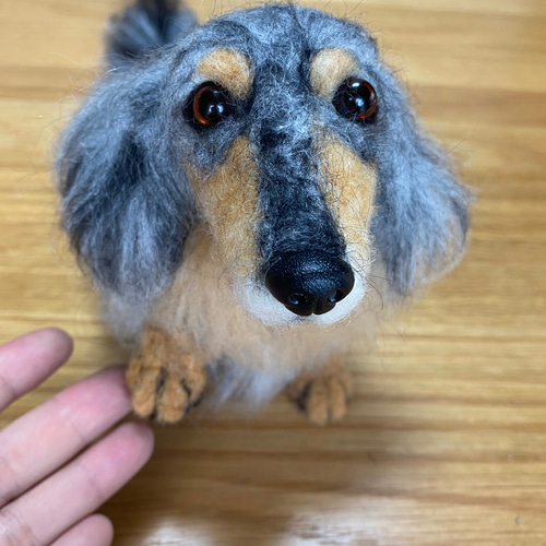 愛犬ちゃんのそっくりなリアルなペット人形をお作りします！ 羊毛