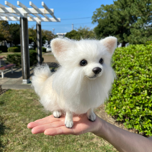愛犬ちゃんのそっくりなリアルなペット人形をお作りします