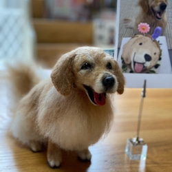 愛犬ちゃんのそっくりなリアルなペット人形をお作りします！　羊毛フェルト　犬　オーダー　ぬいぐるみ　愛犬　　ペット　リアル 10枚目の画像