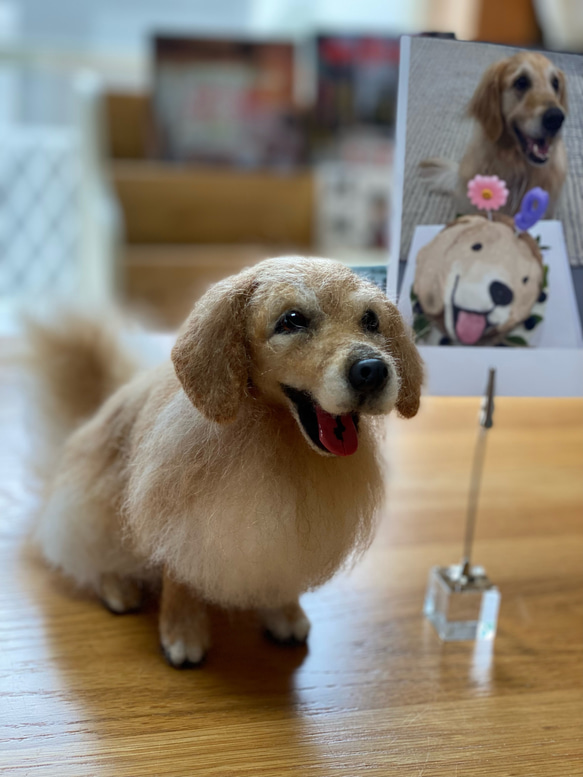 愛犬ちゃんのそっくりなリアルなペット人形をお作りします！　羊毛フェルト　犬　オーダー　ぬいぐるみ　愛犬　　ペット　リアル 10枚目の画像