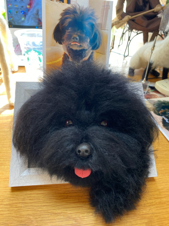 愛犬ちゃんのそっくりなリアルなペット人形をお作りします！　羊毛フェルト　犬　オーダー　ぬいぐるみ　愛犬　　ペット　リアル 2枚目の画像