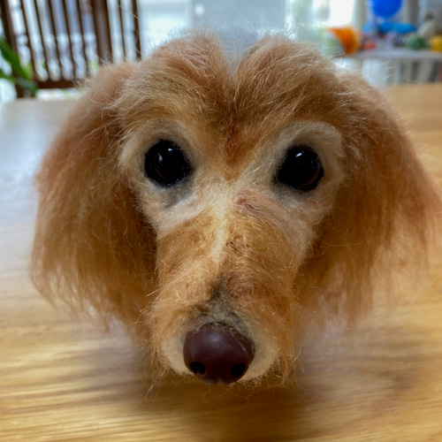 愛犬ちゃんのそっくりなリアルなペット人形をお作りします