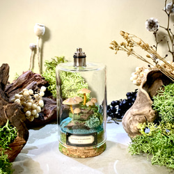 キノコ標本テラリウム 桐箱の森 リニューアル バレンタインセール 立体